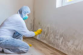 Why You Should Choose Our Mold Remediation Services in Wauna, WA